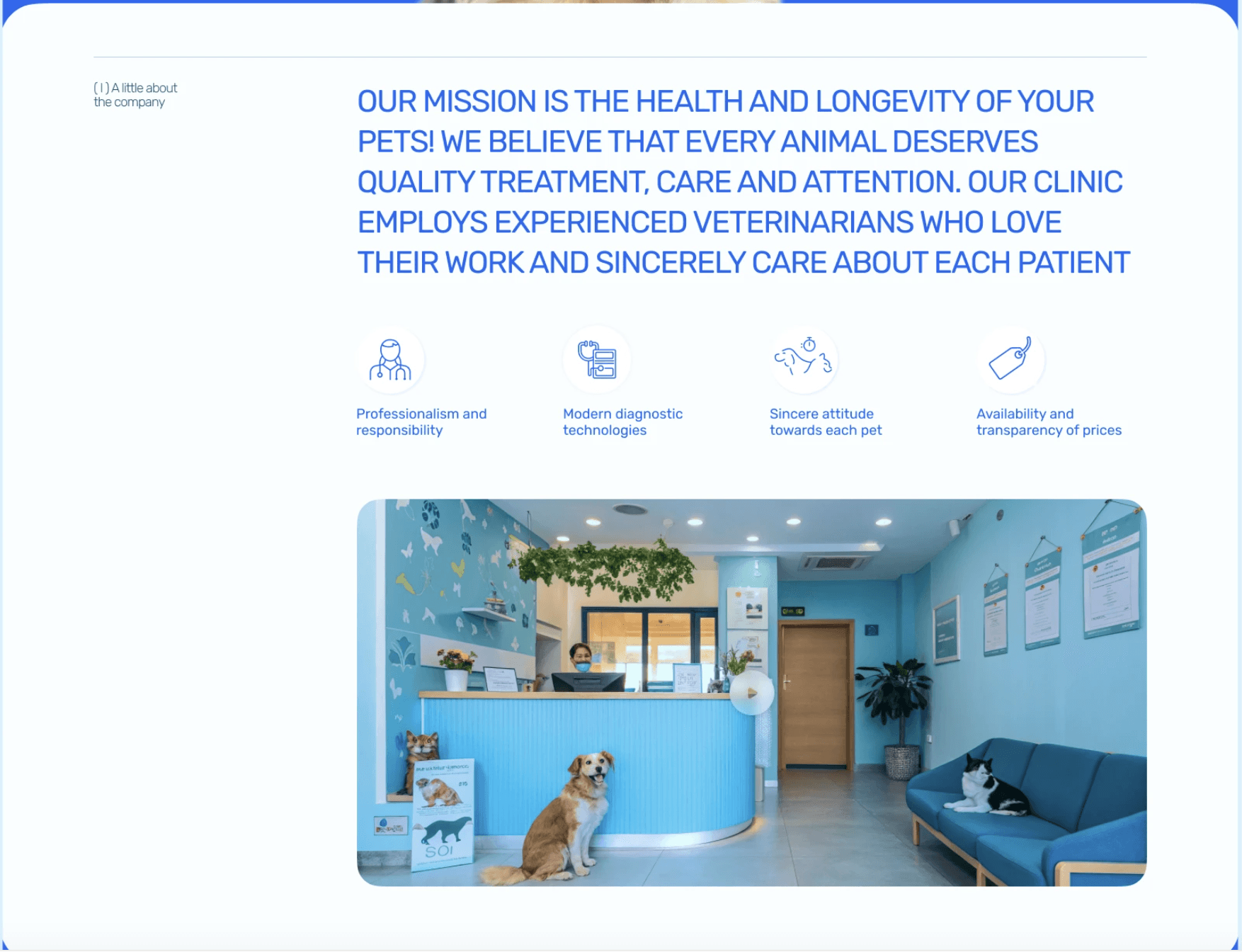 Veterinary Clinic Website